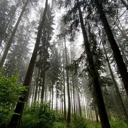 The Old Mill Вилла