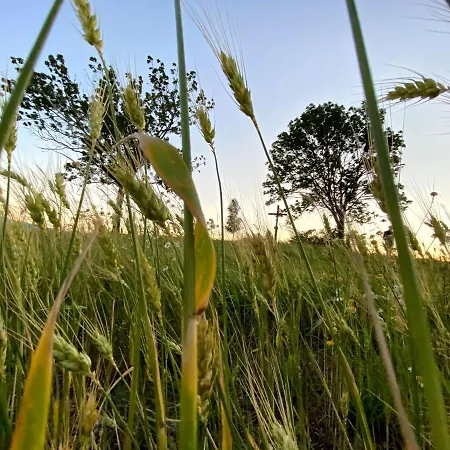 Вилла The Old Mill